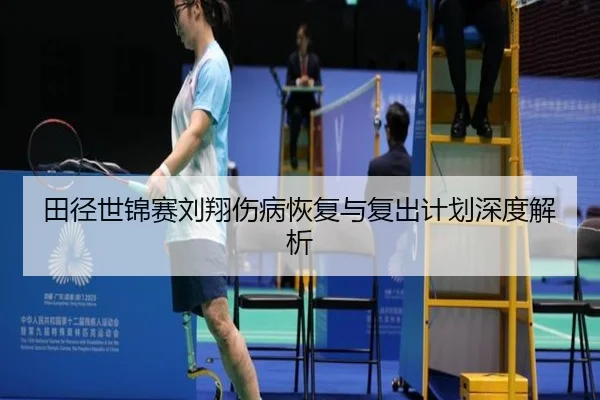 田径世锦赛刘翔伤病恢复与复出计划深度解析